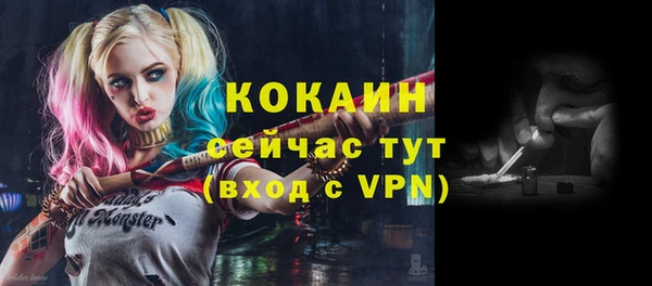 мяу мяу мука Гусев