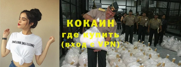мяу мяу мука Гусев