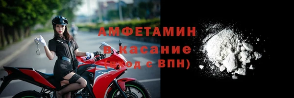 шишки Горно-Алтайск