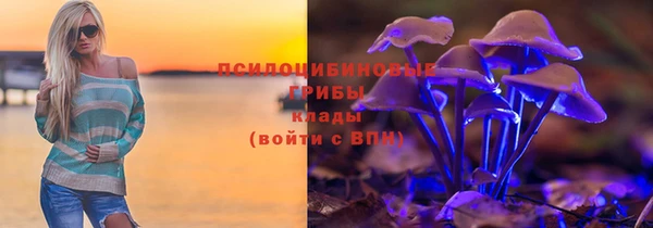марки lsd Гусиноозёрск