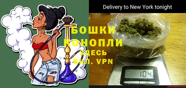 шишки Горно-Алтайск