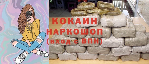 шишки Горно-Алтайск