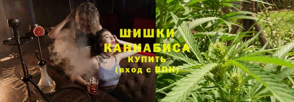 шишки Горно-Алтайск