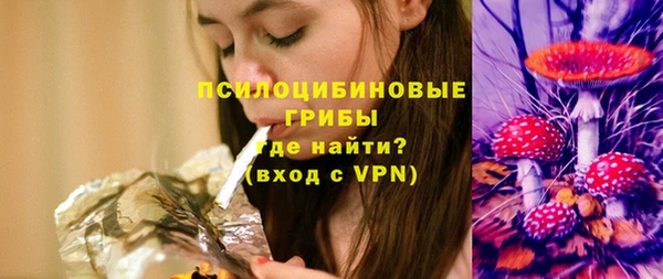 ГАЛЛЮЦИНОГЕННЫЕ ГРИБЫ Горнозаводск
