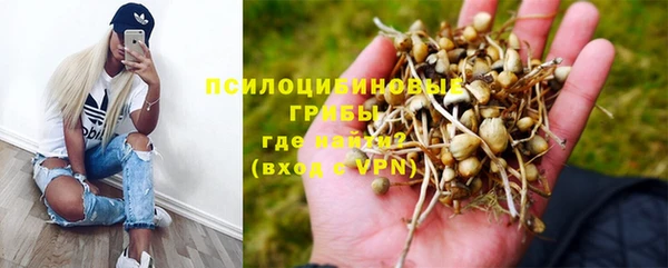 ГАЛЛЮЦИНОГЕННЫЕ ГРИБЫ Горнозаводск