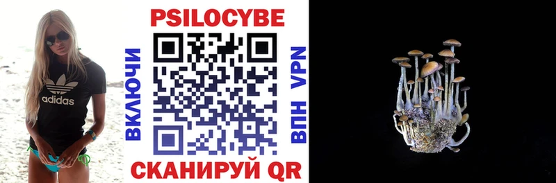 Галлюциногенные грибы GOLDEN TEACHER  купить закладку  Торопец 